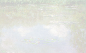 Monet Pond reflecting sky